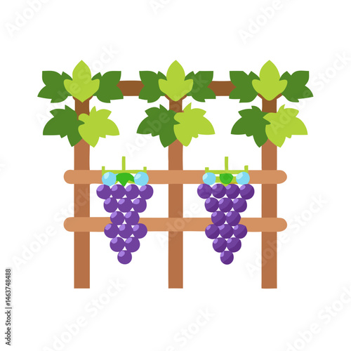 Grape Vines on Trellis Icon Representing Vineyard Cultivation and Grape Farming