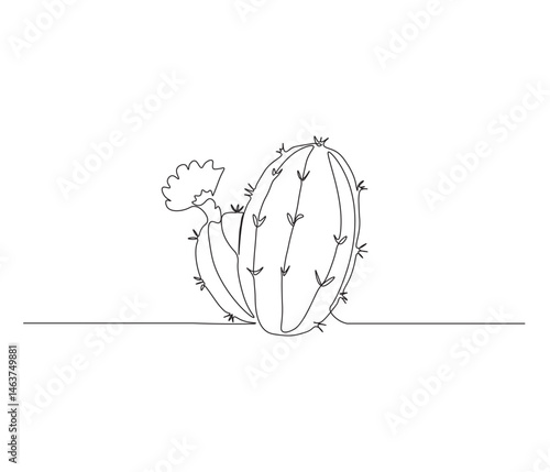One continuous line drawing of desert cactus plant. single line illustration of botanical concept. Editable outline
