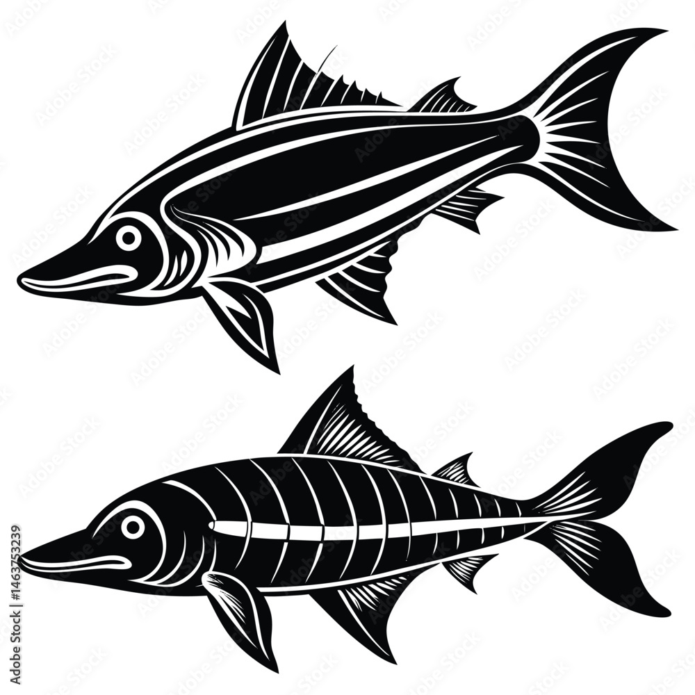 Fototapeta premium Vintage Black and White Fish Illustrations – Pike and Barracuda Art