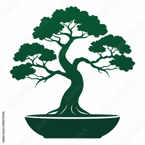 bonsai tree isolated on white