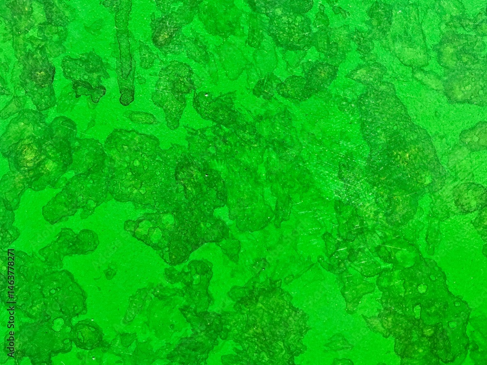 Obraz premium Grunge green pattern 