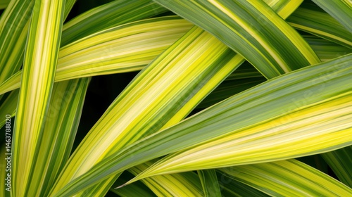 Vibrant Leaf Patterns: A captivating composition showcases intricate patterns and textures of vibrant leaves, showcasing a harmonious blend of light and shadow. 