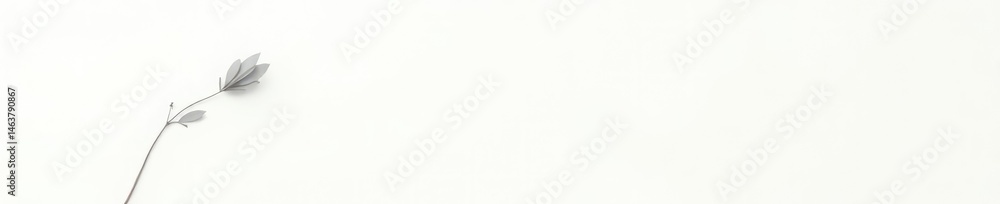 Single slender branch stretching towards the top right corner on a clean white background, isolated, thin