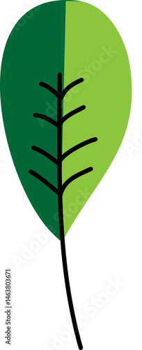 Leaf