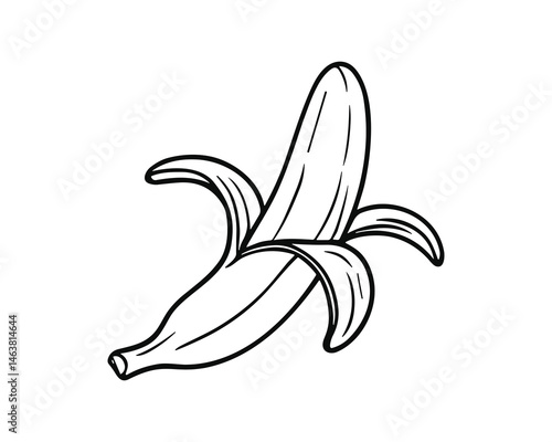 Hand drawn peeled banana fruit sketch line art design art