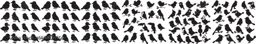 Collection of Small Bird Silhouettes, Bird Silhouettes Vector Illustration Flying Perched Small Birds Collection Outline Icons Black and White