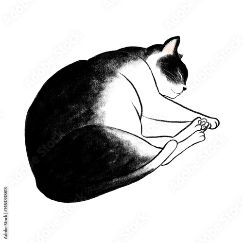 Illustration of a sleeping bicolor cat, Illustration of a relaxed bicolor cat, Illustration of a napping bicolor cat