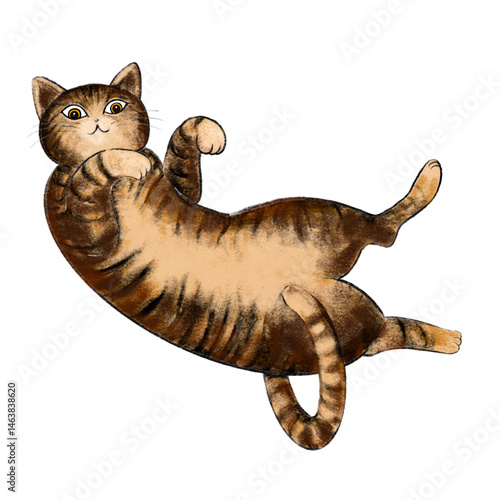 An illustration of a tabby cat lying on its back with its belly exposed, also known as a toraneko, resting in a relaxed pose.