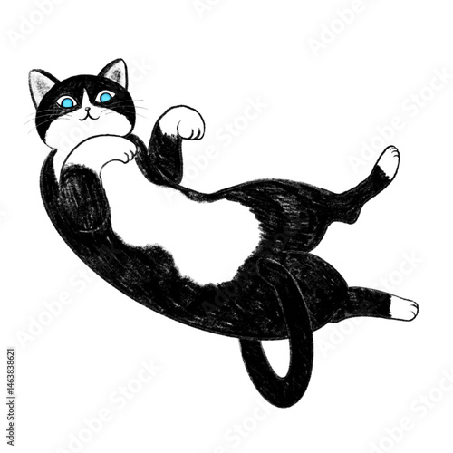 Illustration of a bicolor cat lying down, Illustration of a bicolor cat purring, Illustration of a bicolor cat lounging