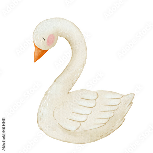 Goose watercolor illustration. Swan art