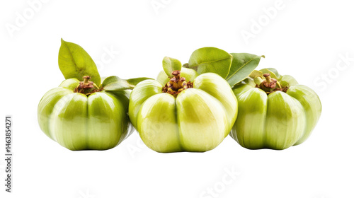 Wallpaper Mural Fresh Garcinia Atroviridis Fruits with Green Leaves on a Transparent Background  in Bright Natural Light Torontodigital.ca