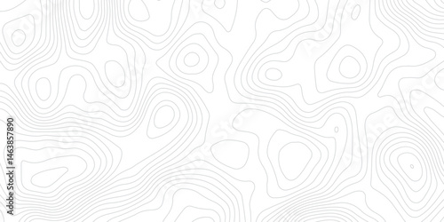 Abstract white topographic map background with lines, White wave paper curved reliefs abstract background,  The topographic map contour in lines isolated,  Background of the topography map.