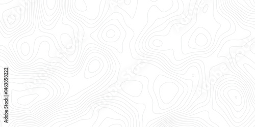 Abstract white topographic map background with lines, White wave paper curved reliefs abstract background,  The topographic map contour in lines isolated,  Background of the topography map.
