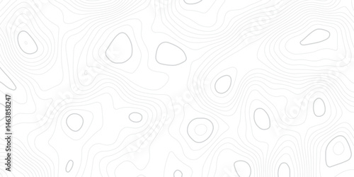 Abstract white topographic map background with lines, White wave paper curved reliefs abstract background,  The topographic map contour in lines isolated,  Background of the topography map.