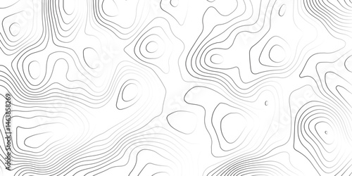 Abstract white topographic map background with lines, White wave paper curved reliefs abstract background,  The topographic map contour in lines isolated,  Background of the topography map.