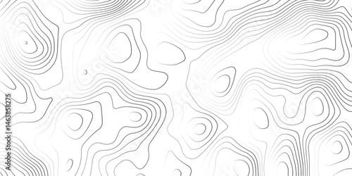 Abstract white topographic map background with lines, White wave paper curved reliefs abstract background,  The topographic map contour in lines isolated,  Background of the topography map.
