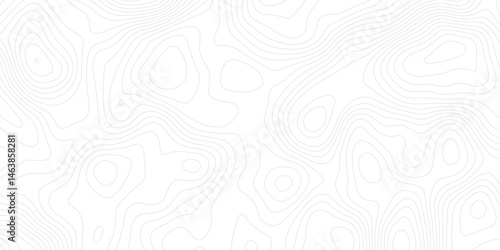 Abstract white topographic map background with lines, White wave paper curved reliefs abstract background,  The topographic map contour in lines isolated,  Background of the topography map.