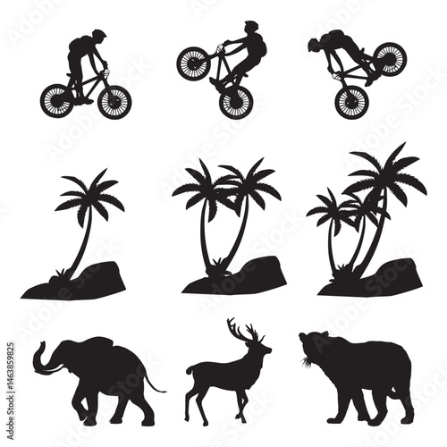 palm tree bycicle raider animal vector