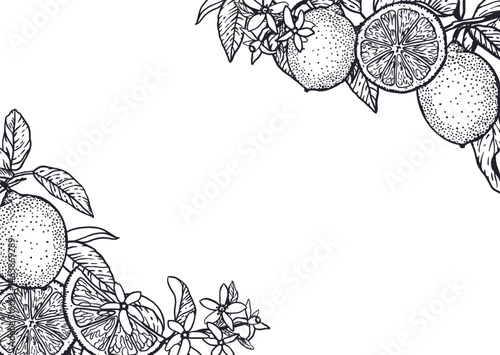 Lemons frame rectangular in graphic style with black ink. Fruits and leaves. Hand drawn vector illustration. For food and cosmetic labels, jam, lemonade, banners, posters, invitations, postcards.