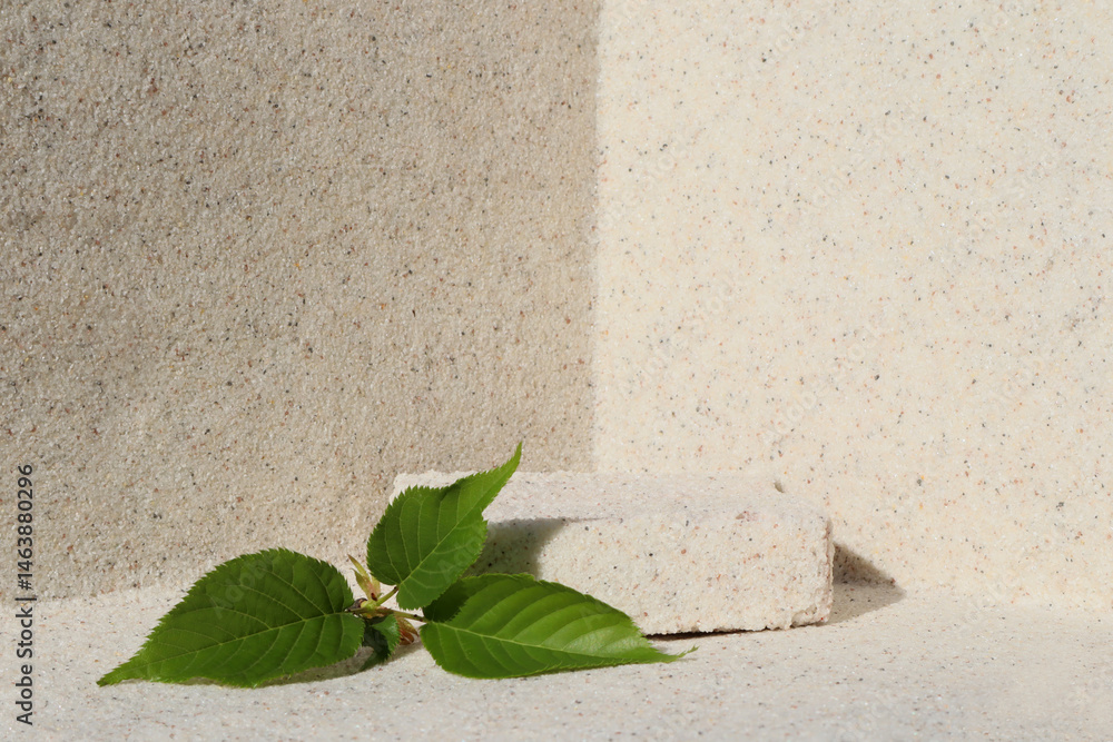 Rectangular stone podium against the background of a light stone wall and green sakura leaves. Cosmetic product display backdrop for luxury beauty. Minimalism style.