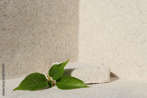Obraz na płótnie Rectangular stone podium against the background of a light stone wall and green sakura leaves. Cosmetic product display backdrop for luxury beauty. Minimalism style. w salonie