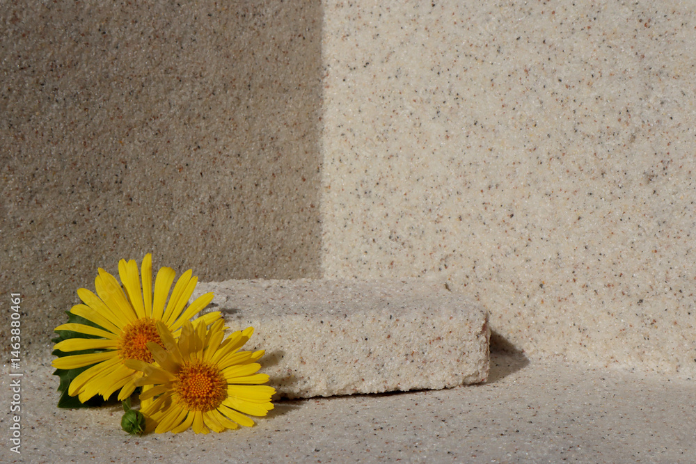 Rectangular stone podium against the background of a light stone wall and yellow daisy flower. Cosmetic product display backdrop for luxury beauty. Minimalism style.