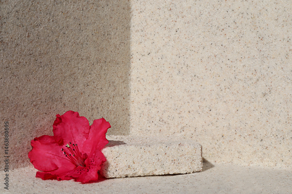 flower, pink, rhododendron, rhododendron flower, pink flower, natural, geometric, platform, design, skincare, copy space, summer, organic, stage, advertising, body, spa, care, treatment, minimal, natu