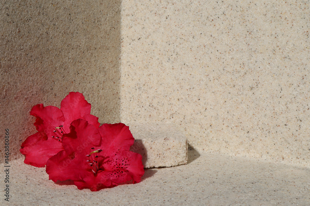 flower, pink, rhododendron, rhododendron flower, pink flower, natural, geometric, platform, design, skincare, copy space, summer, organic, stage, advertising, body, spa, care, treatment, minimal, natu