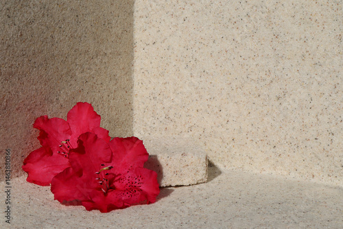 Obraz na płótnie flower, pink, rhododendron, rhododendron flower, pink flower, natural, geometric, platform, design, skincare, copy space, summer, organic, stage, advertising, body, spa, care, treatment, minimal, natu w salonie