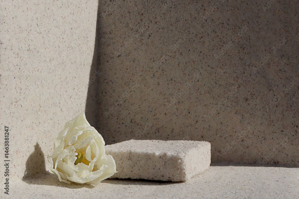 Rectangular stone podium against the background of a light stone wall and a white tulip flower. Cosmetic product display backdrop for luxury beauty. Minimalism style.