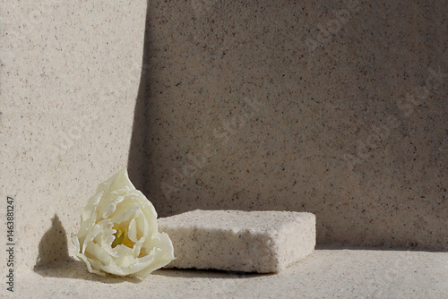 Rectangular stone podium against the background of a light stone wall and a white tulip flower. Cosmetic product display backdrop for luxury beauty. Minimalism style.