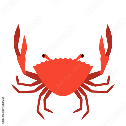 Illustration of a Red Crab