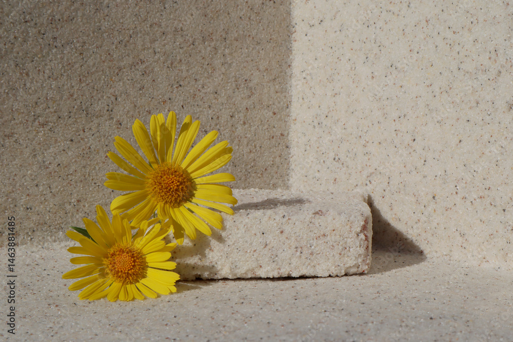 Rectangular stone podium against the background of a light stone wall and yellow daisy flower. Cosmetic product display backdrop for luxury beauty. Minimalism style.