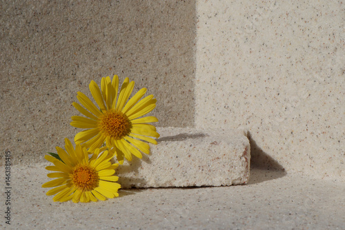 Obraz na płótnie Rectangular stone podium against the background of a light stone wall and yellow daisy flower. Cosmetic product display backdrop for luxury beauty. Minimalism style. w salonie