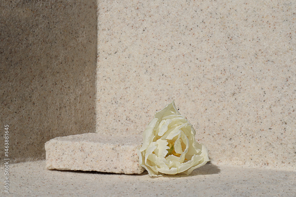 Rectangular stone podium against the background of a light stone wall and a white tulip flower. Cosmetic product display backdrop for luxury beauty. Minimalism style.