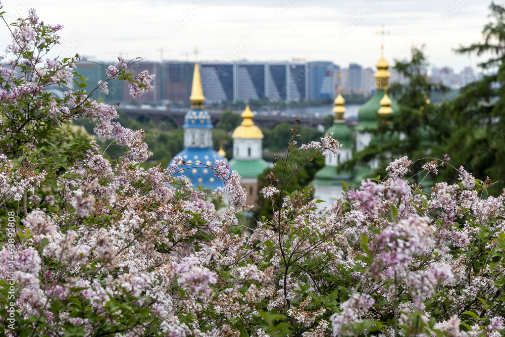 Lilac blossoms framing golden domes of Kyiv monastery
