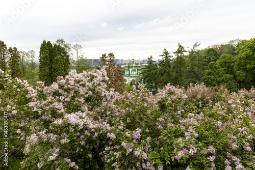 Obraz na płótnie Spring lilac bloom overlooking golden domed church and city skyline w salonie