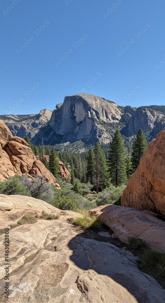 Fototapeta premium Granite Mountains Landscape with Evergreen Trees against Clear Blue Sky