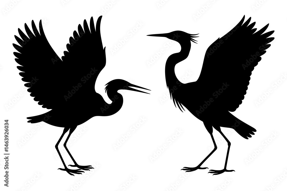 Fototapeta premium Silhouette of two herons with wings spread vector