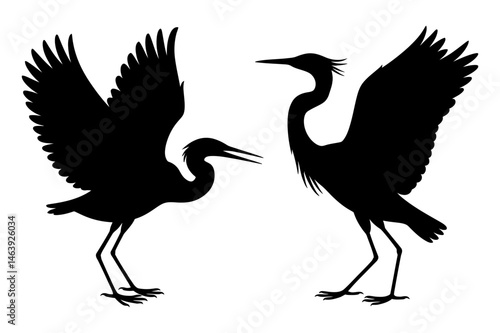 Silhouette of two herons with wings spread vector