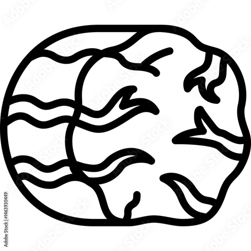 nutmeg icon