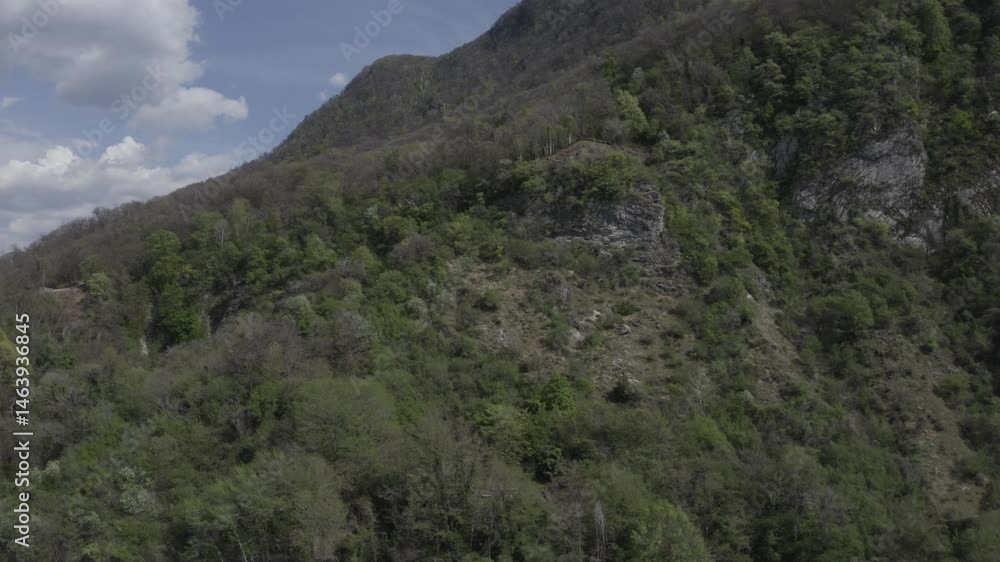 Drone on wood and mountains of Northern Italy