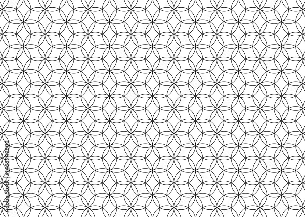 Fototapeta premium 和風 モノトーン 花模様 背景