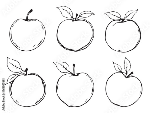 elegant line art of peaches with leaves