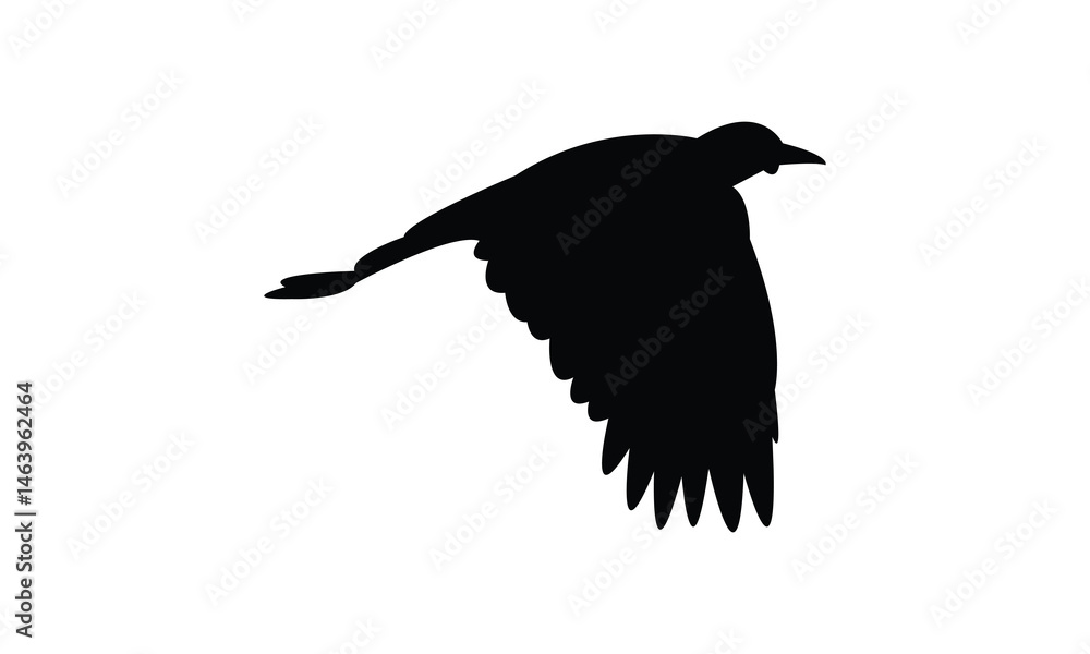 Fototapeta premium Flying African wattled lapwing bird Silhouette Design And Vector Illustration. 