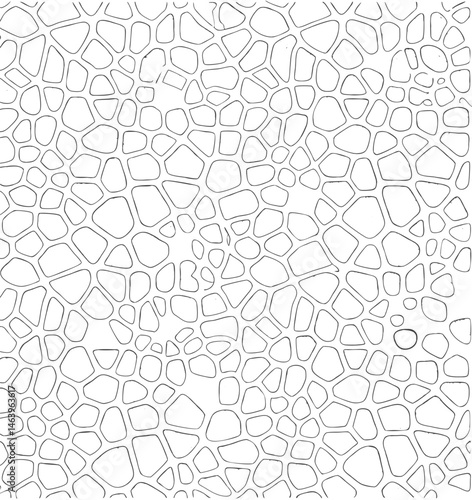 seamless Broken tiles mosaic pattern. texture interior background line, rounded polygonal shapes, similar to a natural biological structure or plant cell wall. 