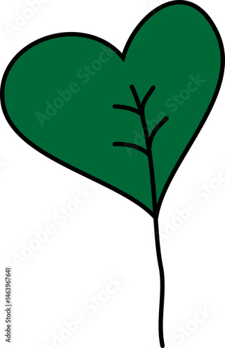 Leaf, leaves