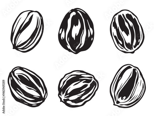 Elegant raisins sketch style vector for food packaging
