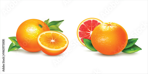 Realistic illustration of whole and half mandarin orange fruit