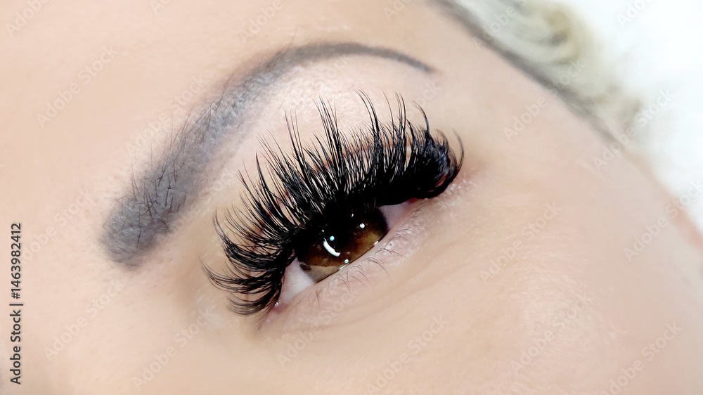 Fototapeta premium .Close up of female eye with eyelash extensions ,eyelash extension procedure.